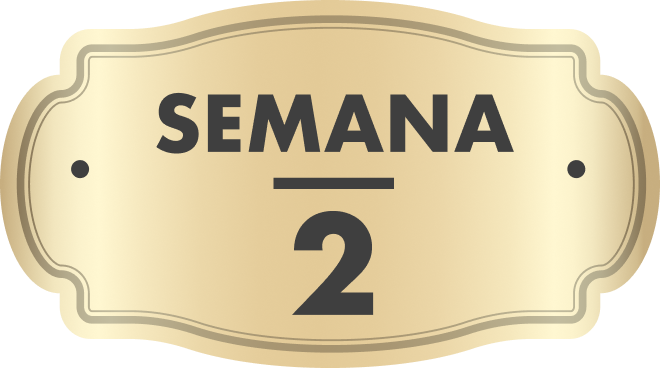 Semana 2