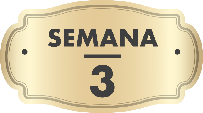 Semana 3